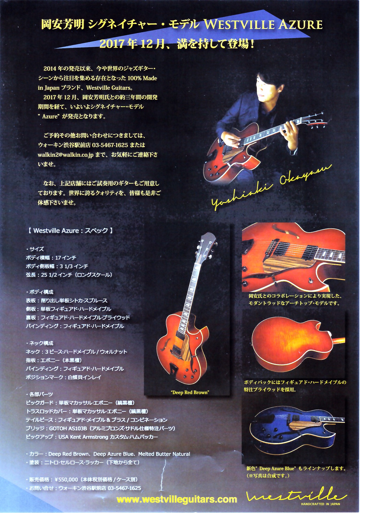 okayasu_guitar